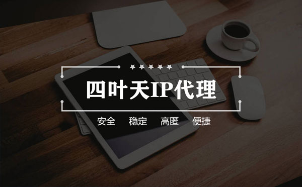 【辽阳代理IP】如何快速搭建代理IP？怎么检查代理的效果？